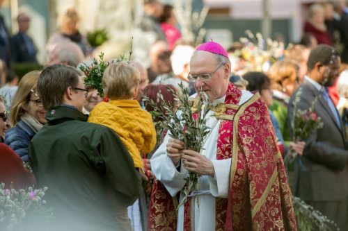 Diözesanbischof Dr. Alois Schwarz verteilt Palmzweige an die Gläubigen (© Foto: Dieter Kulmer)