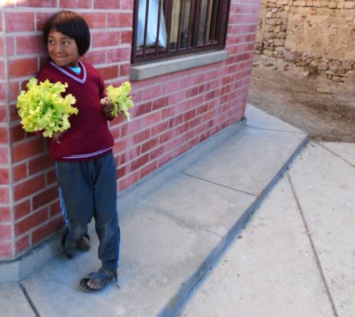 Kinder in Bolivien bekommen durch das Projekt “Bildung braucht ein Zuhause“ nicht nur die Möglichkeit, die Schule zu besuchen, sondern lernen auch, gesunde Lebensmittel selbst anzubauen (© Foto: Fundación Pueblo)