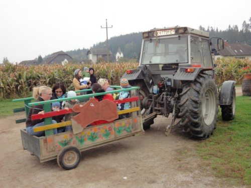 Die Eltern-Kind-Gruppe bei ihrem Besuch am Bauernhof Schifferl im Herbst 2010. (© Foto: Mag. Susanne Raab)