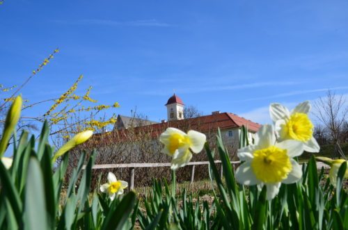 Frühling im Stift St. Georgen  (© Foto: Stift St. Georgen)
