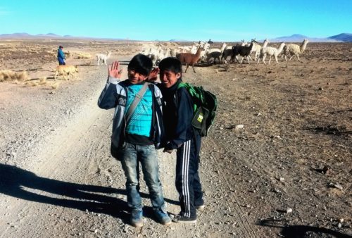   Lamas leisten den Kindern auf dem langen Weg zur Schule “Gesellschaft“  (© Foto: Fundación Pueblo - Projektpartner von Bruder und Schwester in Not)