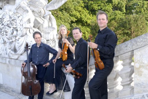 Das Haydn-Quartett (© Foto: Haydn-Quartett)