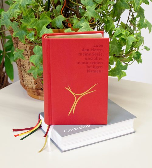 Neues Gotteslob  - Private (Beispiel rot) und Kirchenausgabe (grau) (© Foto: SA-Druckerei)
