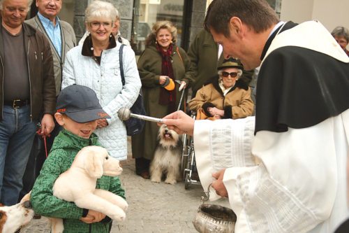 Tiersegnung am Gedenktag des hl. Franz von Assisi (© Foto: Referat für Stadtpastoral)