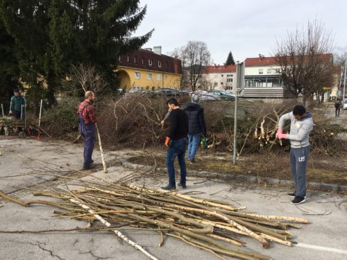 Die Vorbereitungsarbeiten für den GROWN-CARE-GARTEN in Klagenfurt sind schon angelaufen. (© Foto: Caritas Kärnten)