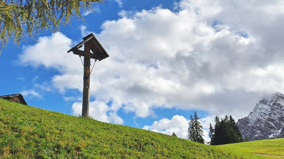 Wieder auf dem Weg | &copy; Foto: Monika Suntinger