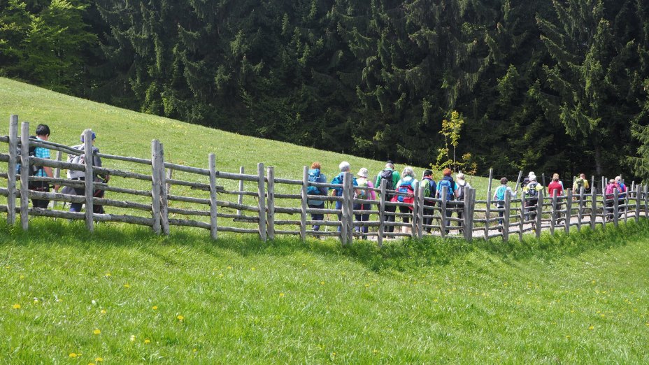 Romarske poti na Koroškem  | © Foto: Referat