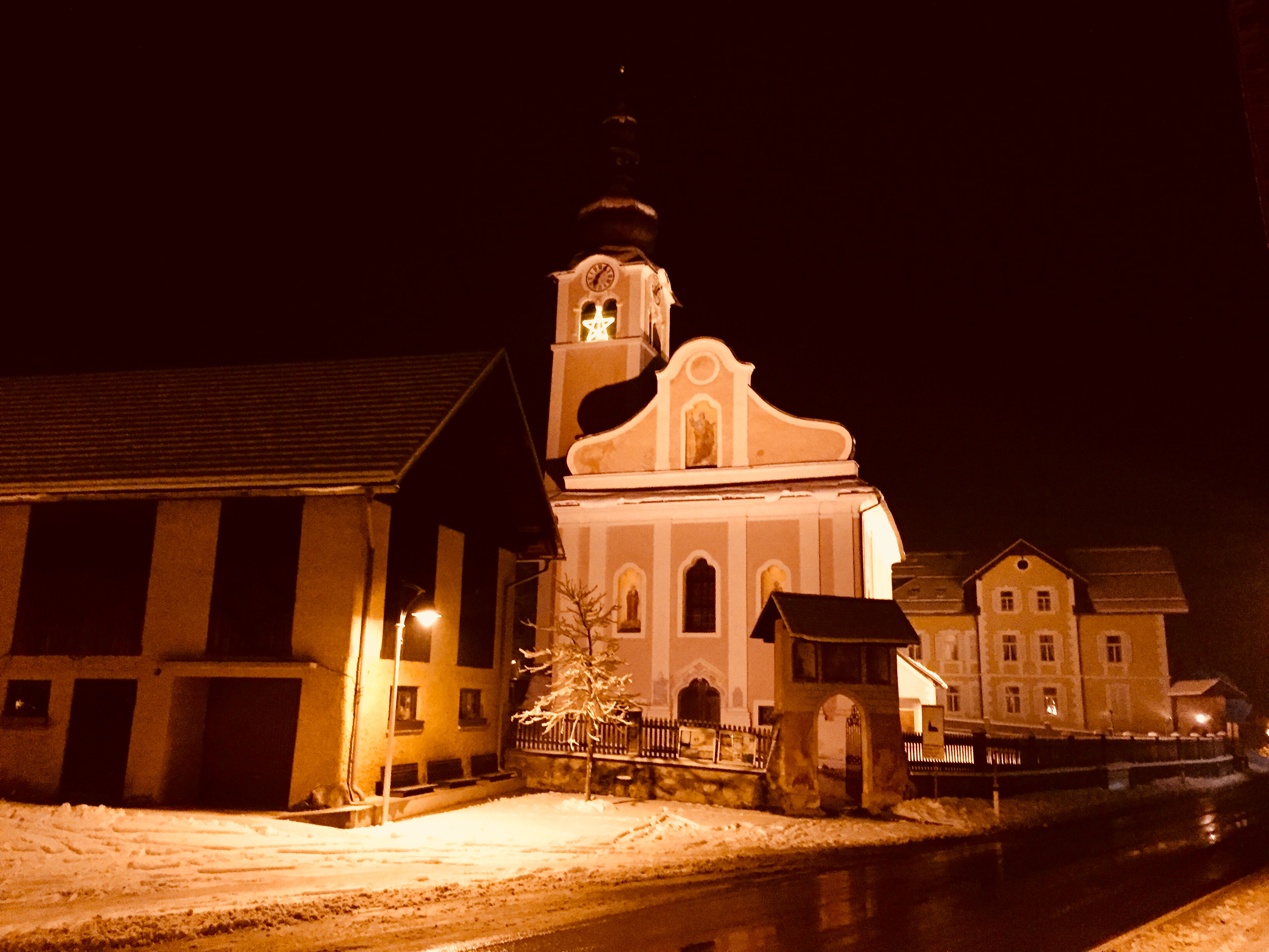 Weihnachtssterne leuchten wieder hell