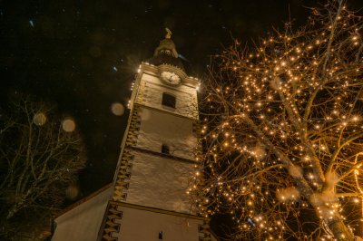 Logo: Ferlach/Borovlje