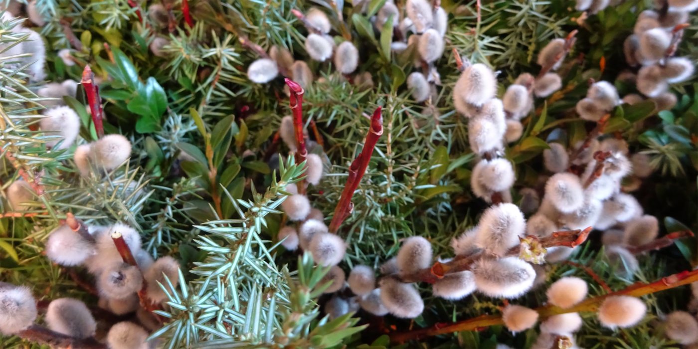 &copy; &copy; Foto: Pfarrkirche Hermagor