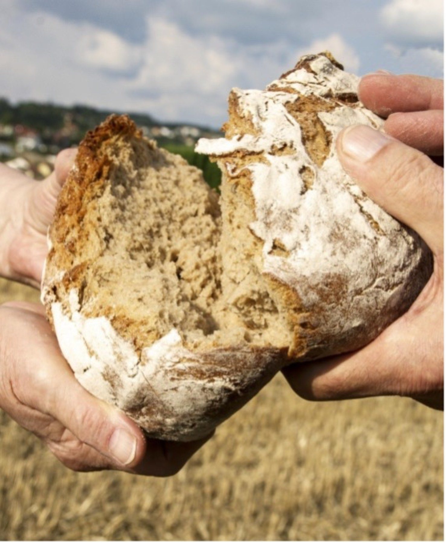 Das Brot des Lebens