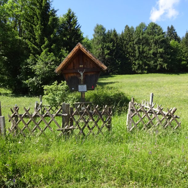 © Foto: