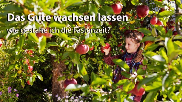 © Foto:Ingo Bartussek /Adobe Stock