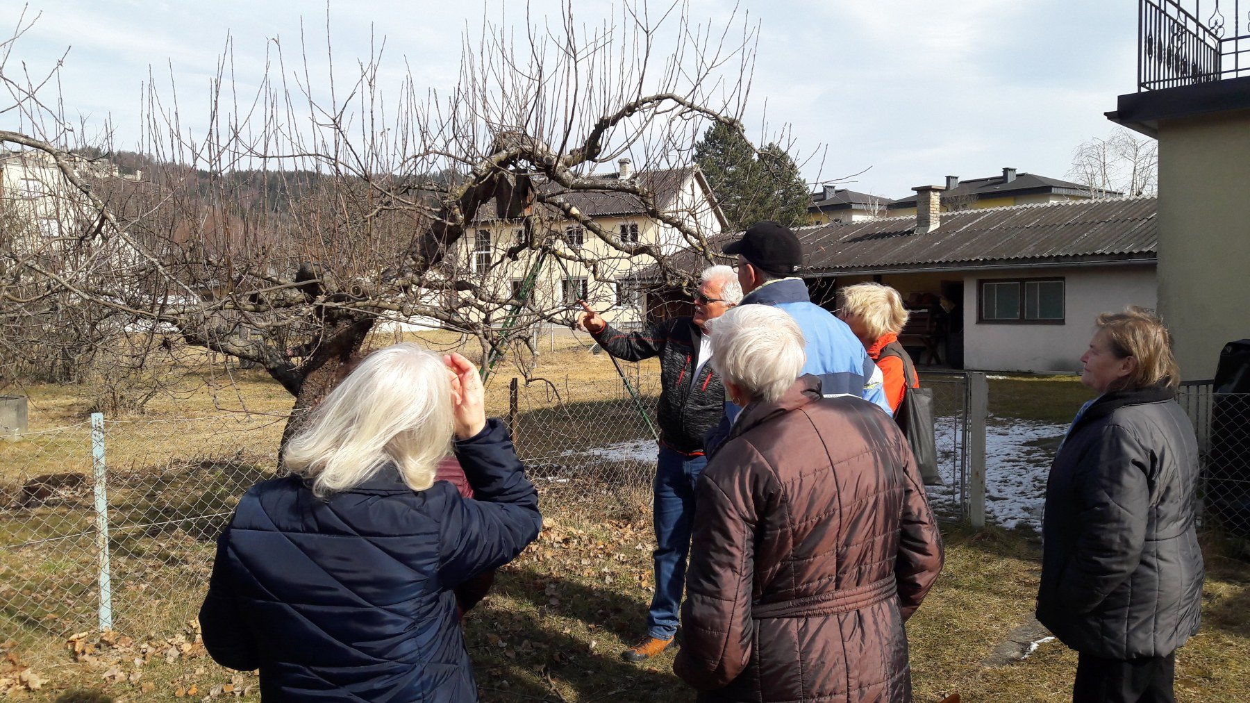 Baumschneidekurs mit Hans Innerhofer
