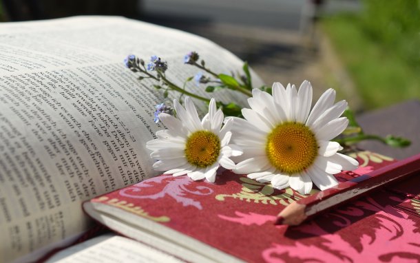 © Foto: pixabay