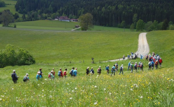 © Foto: Monika Gschwandner
