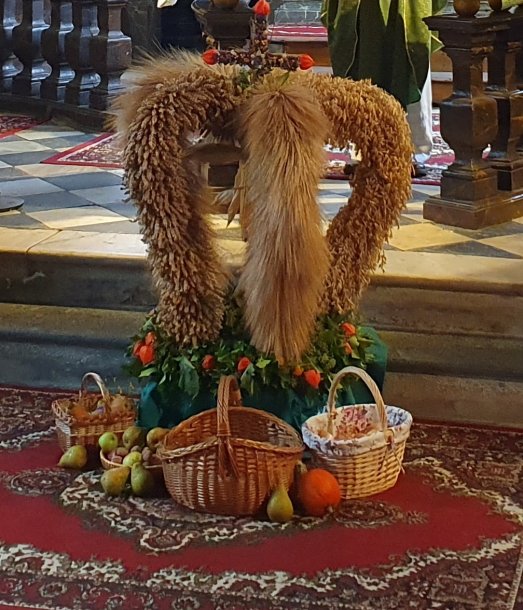 © Foto: M. Grössing