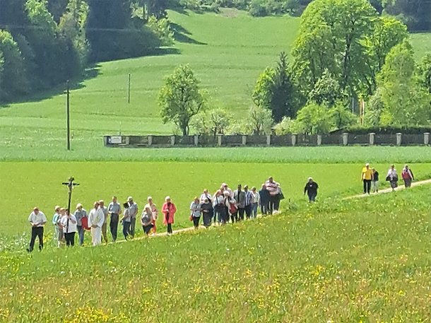 Bild zum Eintrag 'Kärntens Mesnerinnen und Mesner auf Pilgerfahrt in Maria Thurn'