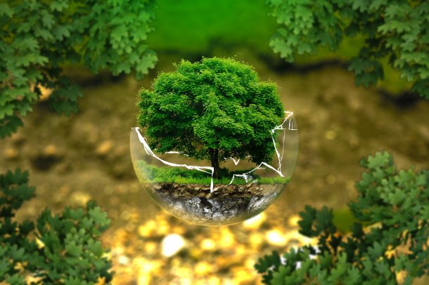 © Foto: