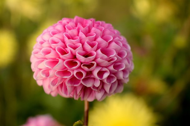 © Foto: Anna_Gru/unsplash
