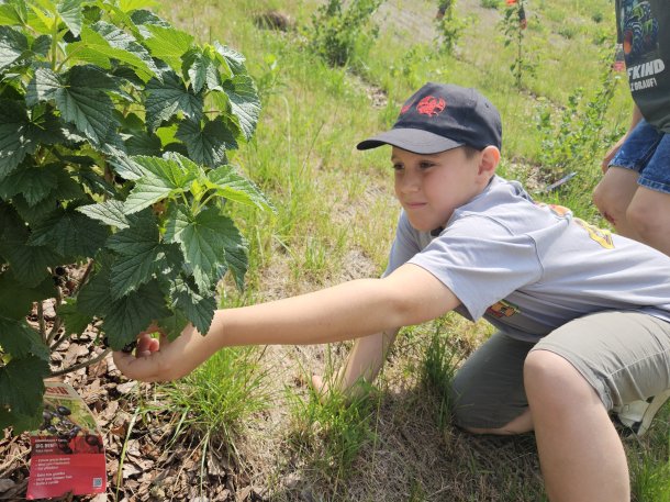 © Foto: