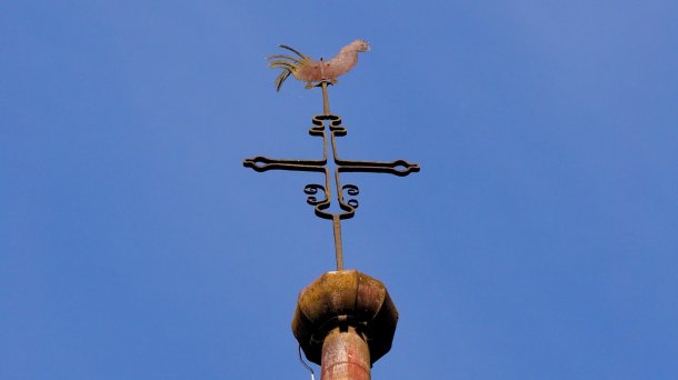 © Foto: PfaMo