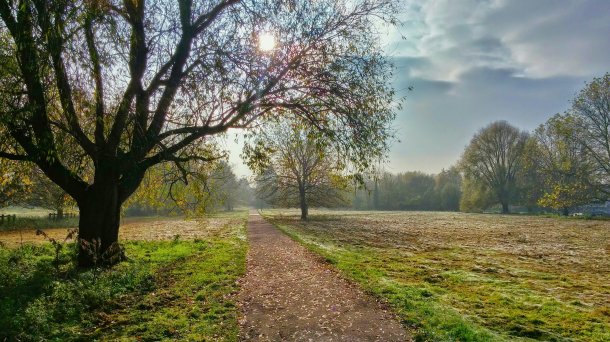 © Foto: Toni Iluch (Unsplash)