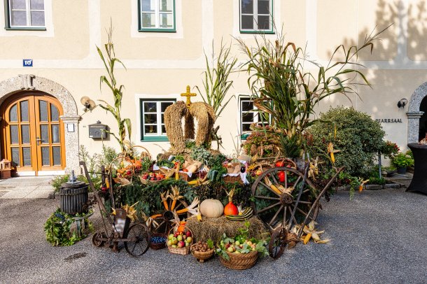 &copy; Fotos: P. Waldhauser