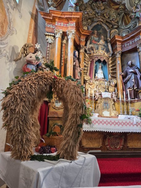 © Foto: Andrea Scherer