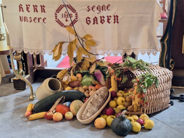 © Foto: G. Mischkulnig