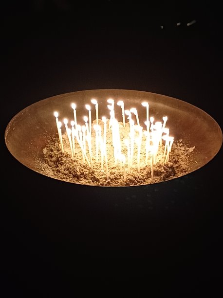 © Foto: Don Bosco study&home