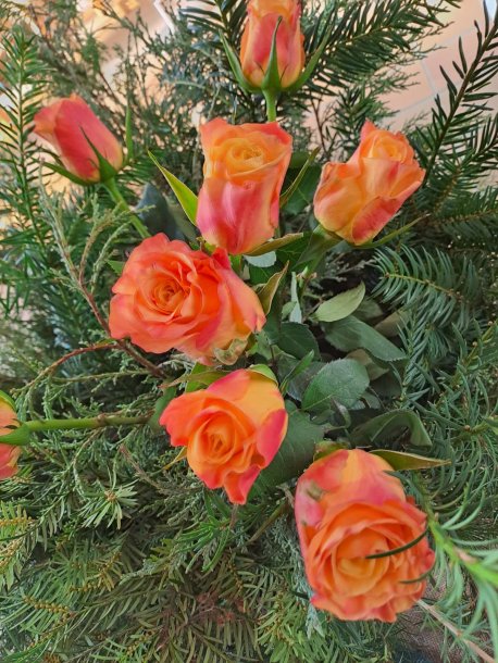 © Foto: A. Hebenstreit