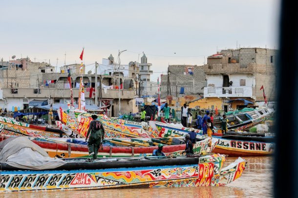Bild zum Eintrag 'Senengal - Naturerlebnis im Nationalpark'