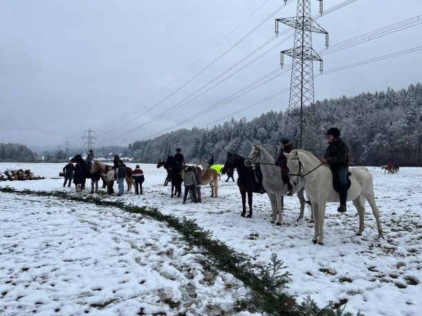 &copy; Foto: D. Kotnik