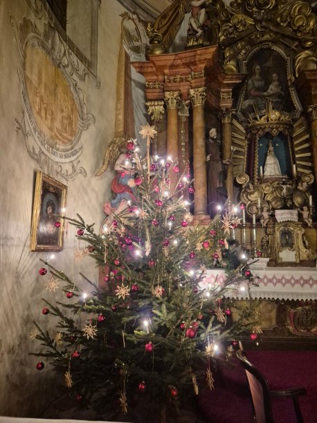 &copy; Foto: Andrea Scherer