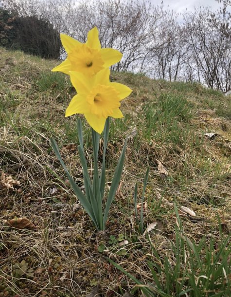 &copy; Foto: Maria Rusche