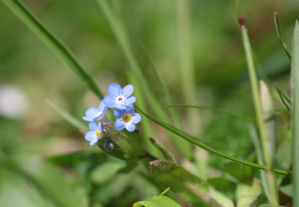 &copy; Foto: Pfarre Gm&uuml;nd 2026, E.Kneissl 2005