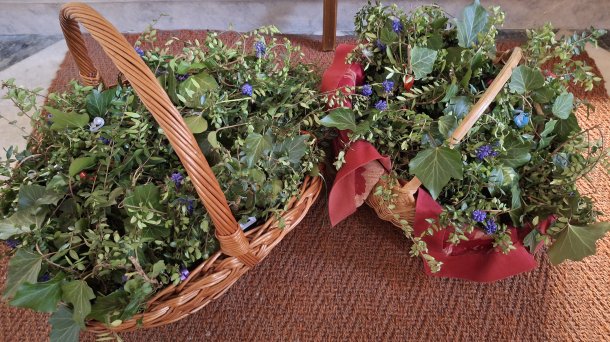 &copy; Foto: G. Topitschnig