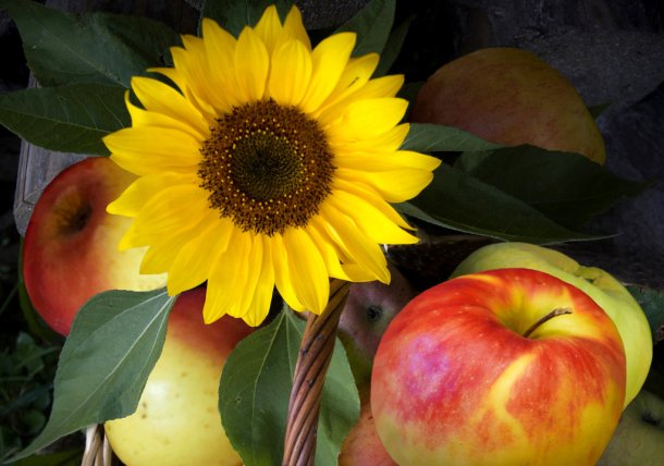 &copy; Foto: flickr.com, Maria