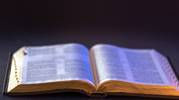 © the Lounge interactive design | shutterstock.com