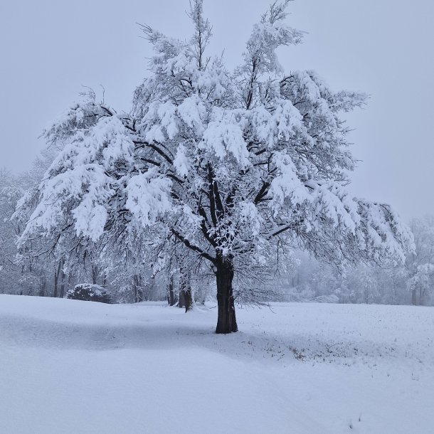 © Foto: Christine Perkonigg