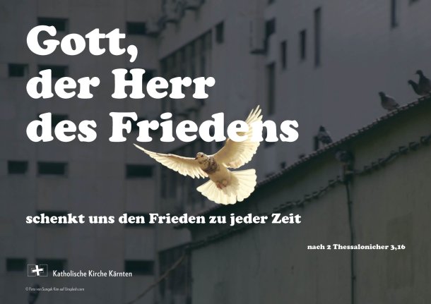 © Foto: Gerhard Simonitti und Martin Rainer