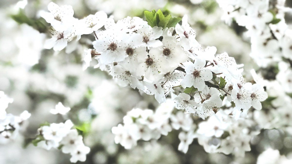 Europaer Sollen Ostern Zu Hause Feiern Euronews