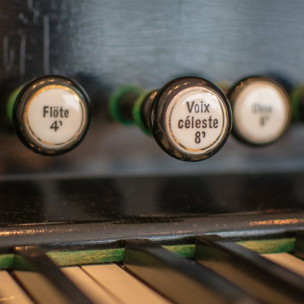 © Jan-Willem van Braak / Unsplash