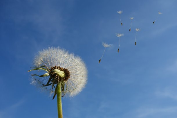 © Foto: pixaby.com