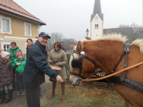 Pferdesegnung • blagoslov konj 2014 (© Foto: Pfarrarchiv Augsdorf- Loga vas)