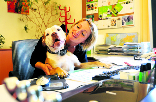 Marketingleiterin Sabine Dobernig aus Klagenfurt mit ihrer „Old English Bulldog“-Dame namens Icey (© Foto: Foto: PrimaPress) Marketingleiterin Sabine Dobernig aus Klagenfurt mit ihrer „Old English Bulldog“-Dame namens Icey (© Foto: Foto: PrimaPress)