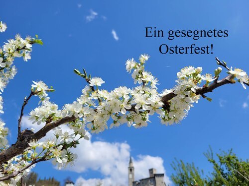 Bildunterschrift (Bildrechte sind zwingend anzugeben!)