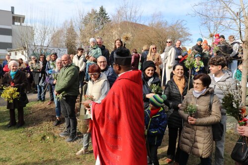 Provisor Mavudila-Bunda bei der Palmsegenung im Innenhof des Pfarrzentrums in Feldkirchen (© PAss. Peter Artl)