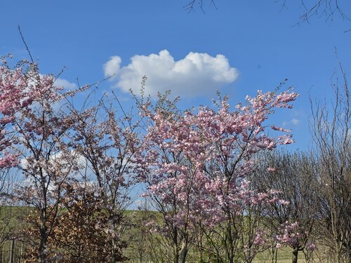 Bildunterschrift (Bildrechte sind zwingend anzugeben!)